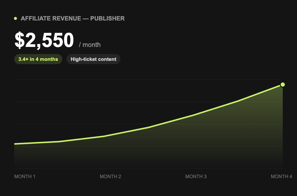 Affiliate Publisher case study
